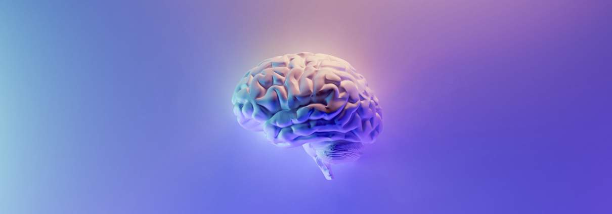 Autisme en hoogsensitiviteit - verschil en overlap in het brein
